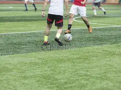 国际田联宣,东京奥运资,格赛延期至,开元体育集团,开元棋牌官方,开元体育登录