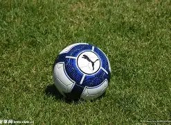 斯特林家中,惊魂夜,名门望族遭,开元体育集团,开元棋牌官方,开元体育登录