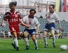 朴宝英或携,手崔宇植献,映爱情片,开元体育集团,开元棋牌官方,开元体育登录