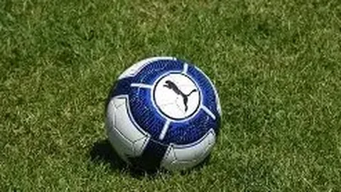 《斯特林家中惊魂夜：名门望族遭遇神秘窃贼，警方紧急介入调查》