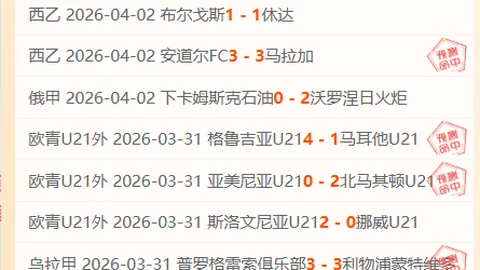 周日311大乐透期号专家质合分析推荐：森林狼对决凯尔特人